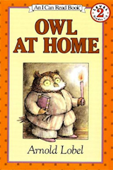 Owl At Home